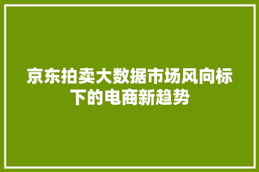 京东拍卖大数据市场风向标下的电商新趋势