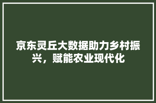 京东灵丘大数据助力乡村振兴，赋能农业现代化