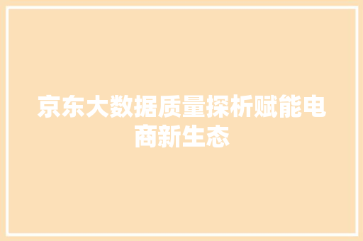 京东大数据质量探析赋能电商新生态