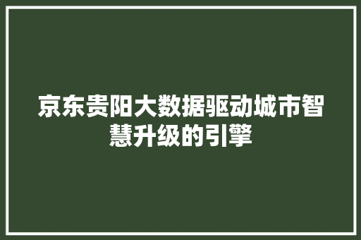 京东贵阳大数据驱动城市智慧升级的引擎
