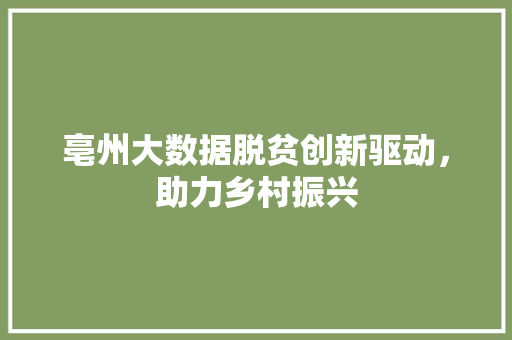 亳州大数据脱贫创新驱动，助力乡村振兴