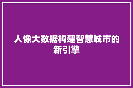 人像大数据构建智慧城市的新引擎
