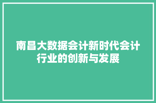 南昌大数据会计新时代会计行业的创新与发展 电脑基础