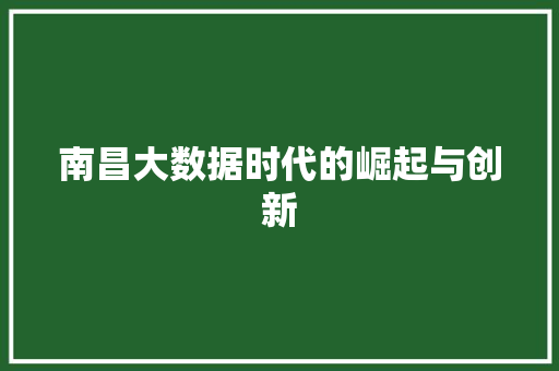南昌大数据时代的崛起与创新 电脑故障维修