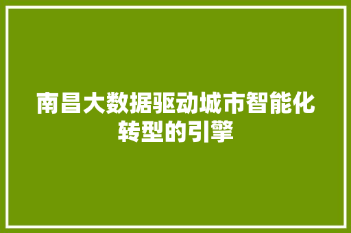 南昌大数据驱动城市智能化转型的引擎 电脑基础