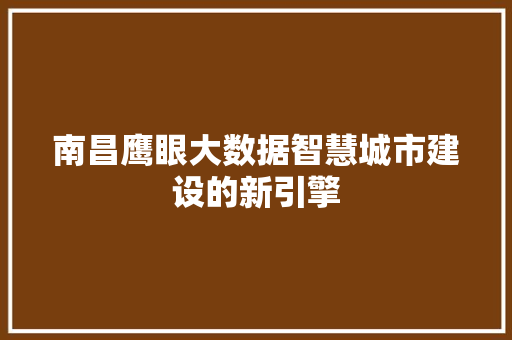 南昌鹰眼大数据智慧城市建设的新引擎 电脑基础