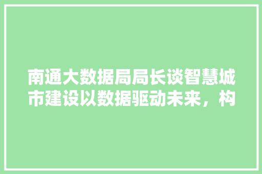 南通大数据局局长谈智慧城市建设以数据驱动未来，构建美好家园 操作系统