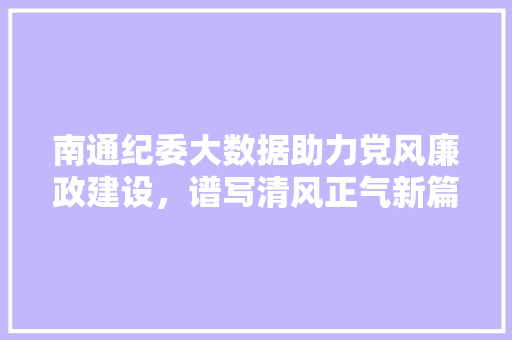 南通纪委大数据助力党风廉政建设,谱写清风正气新篇章 南通纪委大数据助力党风廉政建设,谱写清风正气新篇章