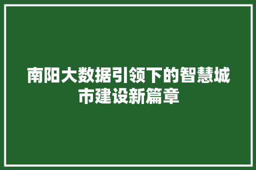 南阳大数据引领下的智慧城市建设新篇章 电脑基础 南阳大数据引领下的智慧城市建设新篇章 电脑基础