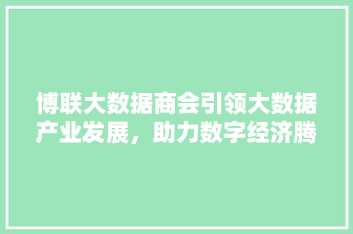博联大数据商会引领大数据产业发展，助力数字经济腾飞 电脑基础