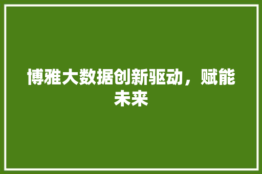 博雅大数据创新驱动，赋能未来 电脑配置