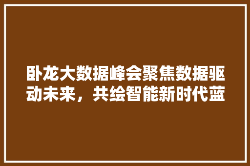 卧龙大数据峰会聚焦数据驱动未来，共绘智能新时代蓝图