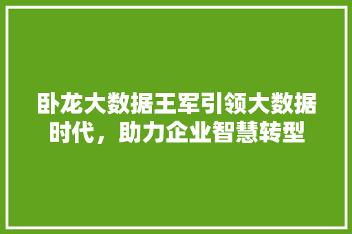 卧龙大数据王军引领大数据时代，助力企业智慧转型