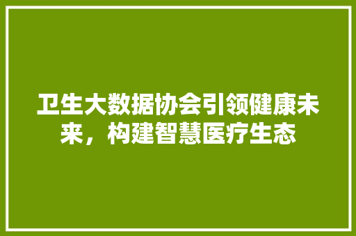 卫生大数据协会引领健康未来，构建智慧医疗生态