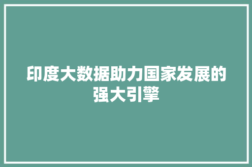 印度大数据助力国家发展的强大引擎