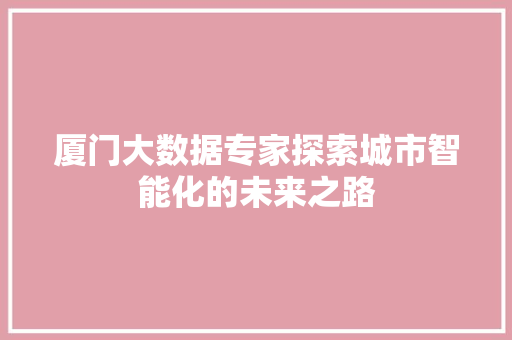 厦门大数据专家探索城市智能化的未来之路 电脑基础