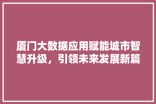 厦门大数据应用赋能城市智慧升级,引领未来发展新篇章 电脑基础 厦门大数据应用赋能城市智慧升级,引领未来发展新篇章 电脑基础