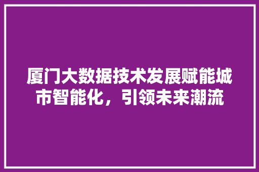 厦门大数据技术发展赋能城市智能化，引领未来潮流 电脑基础