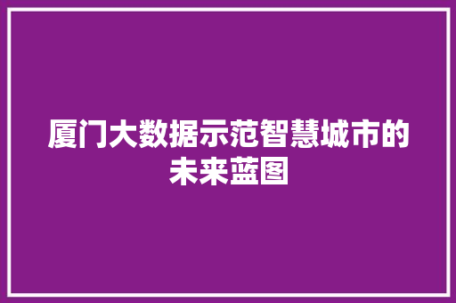 厦门大数据示范智慧城市的未来蓝图