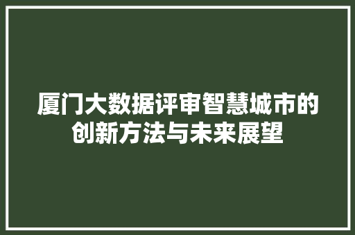 厦门大数据评审智慧城市的创新方法与未来展望 电脑故障维修