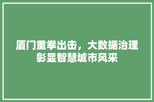 厦门重拳出击，大数据治理彰显智慧城市风采 操作系统