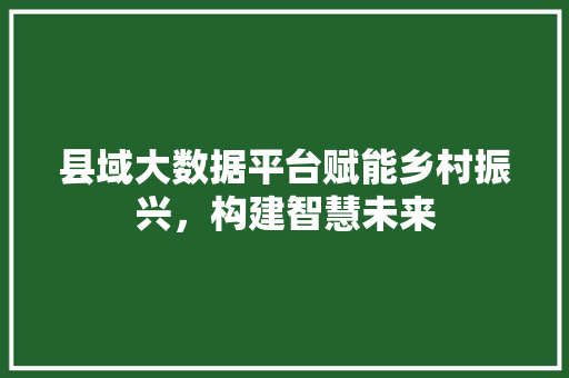县域大数据平台赋能乡村振兴，构建智慧未来 操作系统