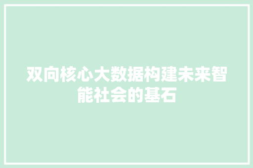 双向核心大数据构建未来智能社会的基石