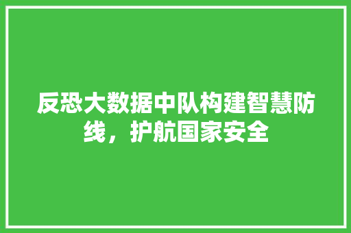 反恐大数据中队构建智慧防线，护航国家安全