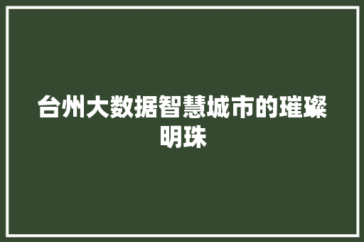台州大数据智慧城市的璀璨明珠 台州大数据智慧城市的璀璨明珠