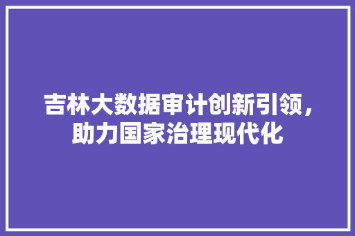吉林大数据审计创新引领，助力国家治理现代化 编程语言