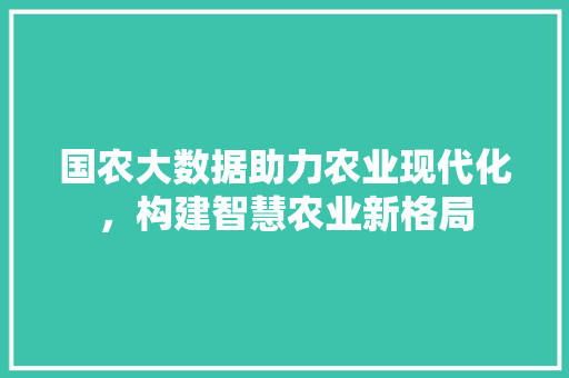 国农大数据助力农业现代化，构建智慧农业新格局 操作系统