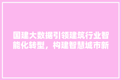 国建大数据引领建筑行业智能化转型，构建智慧城市新篇章 编程语言