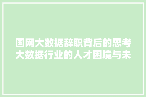 国网大数据辞职背后的思考大数据行业的人才困境与未来展望 编程语言