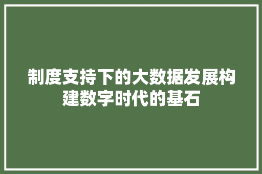 制度支持下的大数据发展构建数字时代的基石
