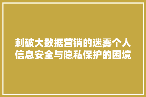 刺破大数据营销的迷雾个人信息安全与隐私保护的困境