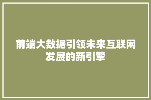 前端大数据引领未来互联网发展的新引擎 网络技术
