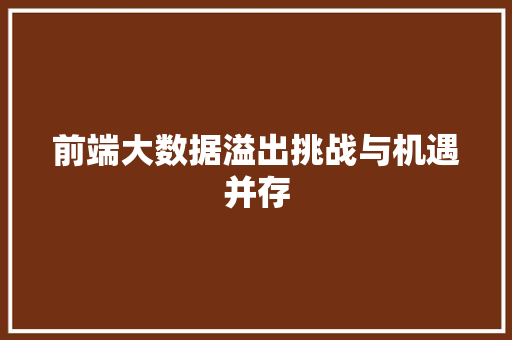 前端大数据溢出挑战与机遇并存 电脑基础