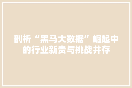 剖析“黑马大数据”崛起中的行业新贵与挑战并存