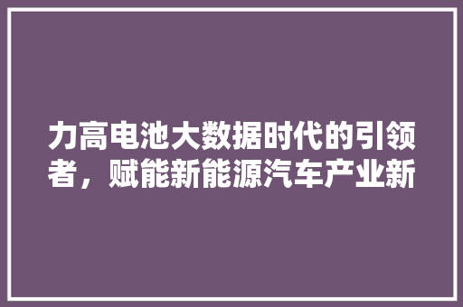 力高电池大数据时代的引领者，赋能新能源汽车产业新篇章