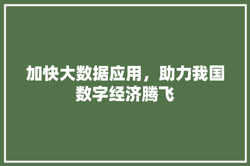 加快大数据应用，助力我国数字经济腾飞