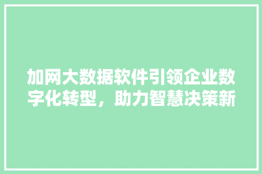加网大数据软件引领企业数字化转型，助力智慧决策新时代 电脑基础