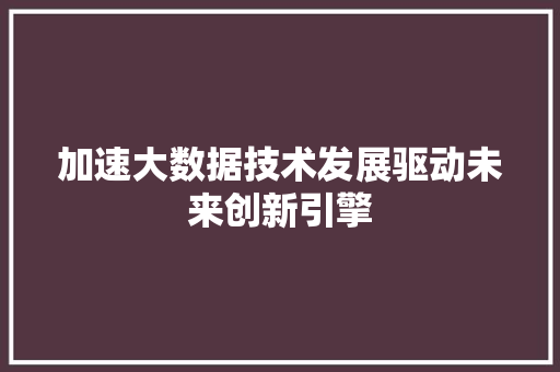 加速大数据技术发展驱动未来创新引擎