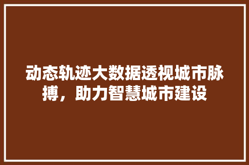 动态轨迹大数据透视城市脉搏，助力智慧城市建设