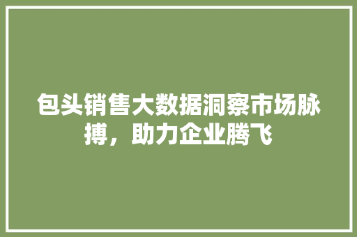 包头销售大数据洞察市场脉搏，助力企业腾飞 编程语言