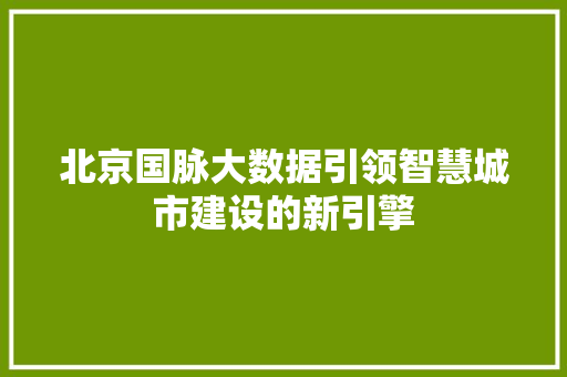 北京国脉大数据引领智慧城市建设的新引擎 电脑故障维修