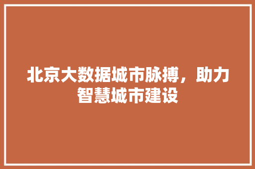 北京大数据城市脉搏，助力智慧城市建设 电脑故障维修