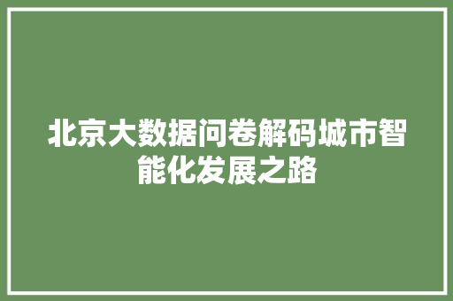 北京大数据问卷解码城市智能化发展之路 编程语言