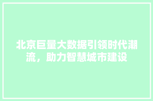 北京巨量大数据引领时代潮流，助力智慧城市建设 编程语言