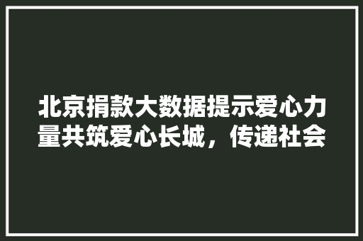 北京捐款大数据提示爱心力量共筑爱心长城，传递社会温暖 电脑基础