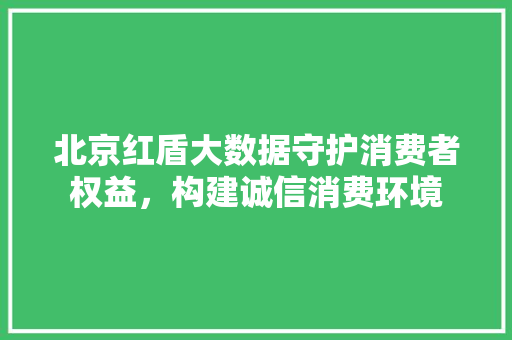 北京红盾大数据守护消费者权益，构建诚信消费环境 电脑故障维修